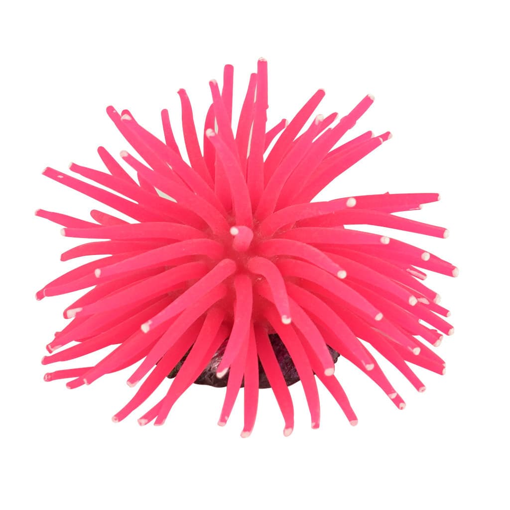 ENFEITE DE SILICONE SOMA ANEMONA SHORT ROSA 11 CM