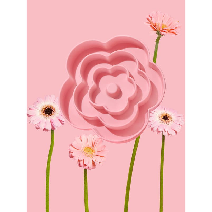 Comedouro Lento Silicone Flora Vetreksa
