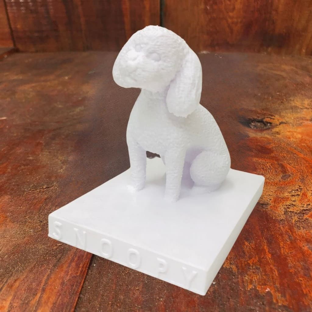 Poodle Personalizado com o nome do seu Pet- Escultura