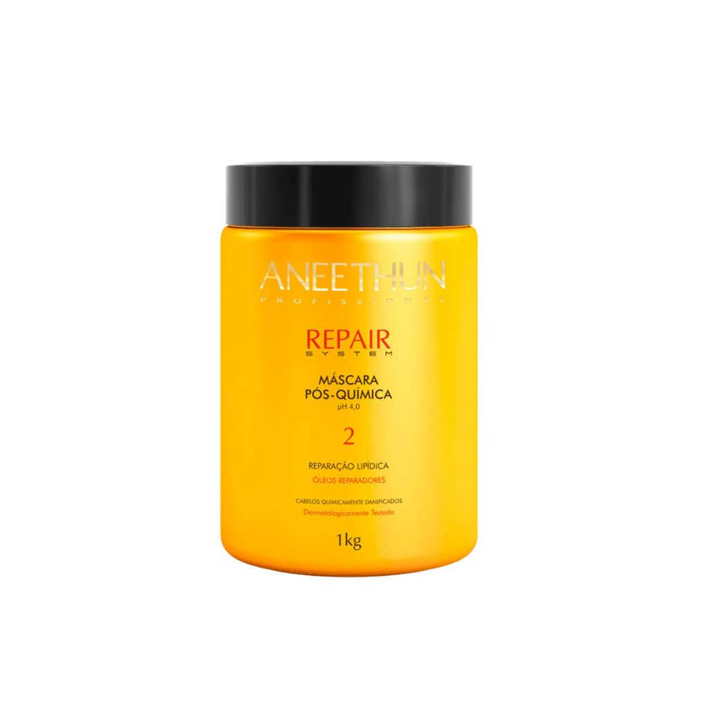 Aneethun Máscara Pós-química Repair System 1Kg - IMPERDIVEL