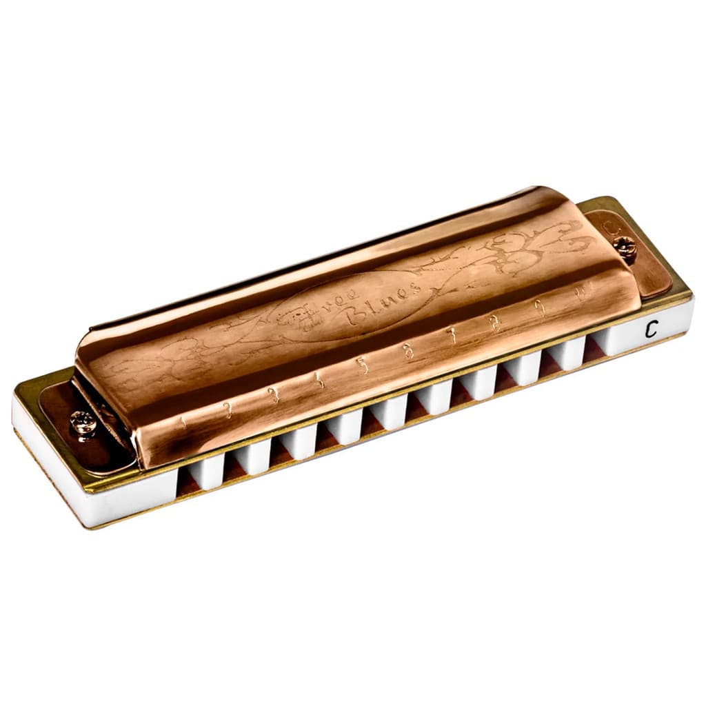 Gaita De Boca Hering Free Blues Bronze Em Dó - Bz7020c