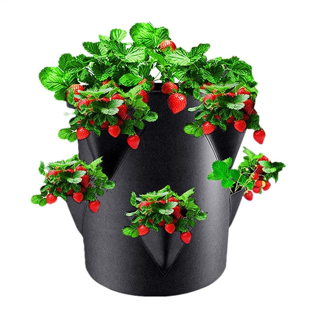 Vasos E Plantadores De Morango , De Plantio De Jardim Com 6 Lados , Bolso Respirável , 7 Galões , Portátil Para Pátio ,
