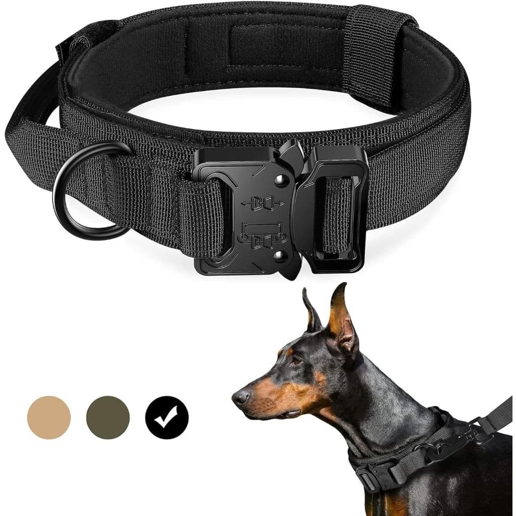 Coleira para cães nylon treinamento ajustável alça fivela metal pesado cães médio e grande porte caminhadas