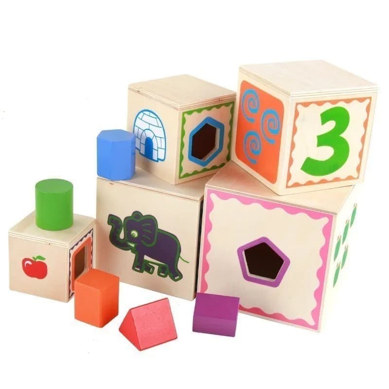 Blocos Madeira Educativo Encaixe Colorido Montessori