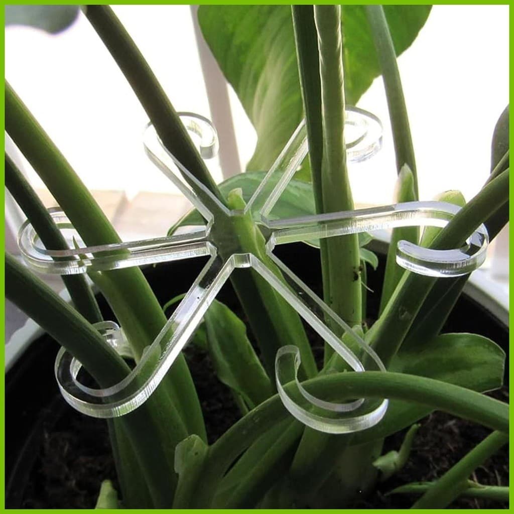 Suporte De Haste De Planta Alocasia Monstera Leaf Suporta Clipes De Vinha 4Pcs Para Subir Em Pé E Fazer iadbr