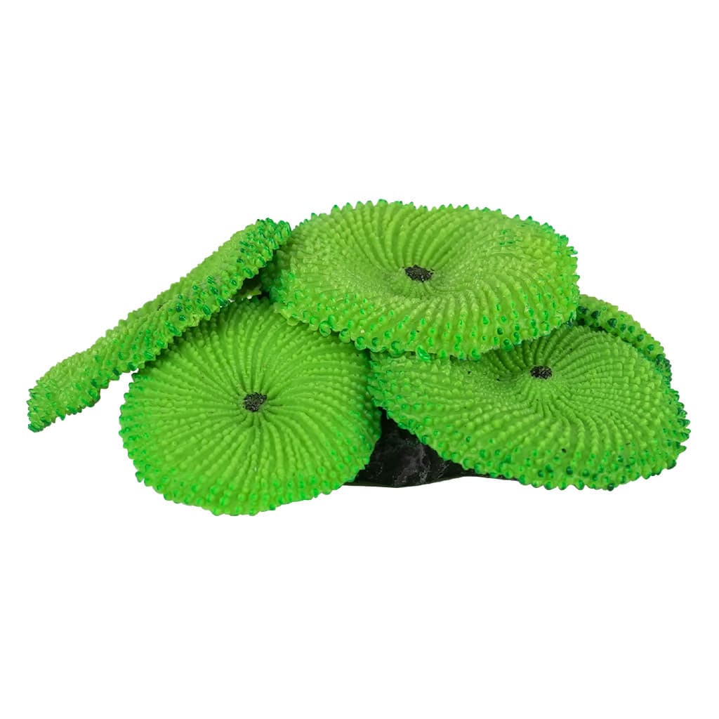 ENFEITE DE SILICONE SOMA CORAL RICORDEA VERDE 02