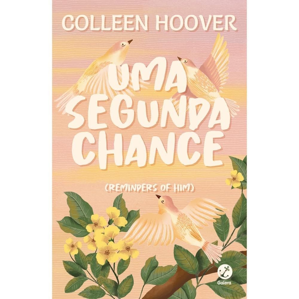 Livro Uma segunda chance (Fenômeno do TikTok) - Livros Sorocaba