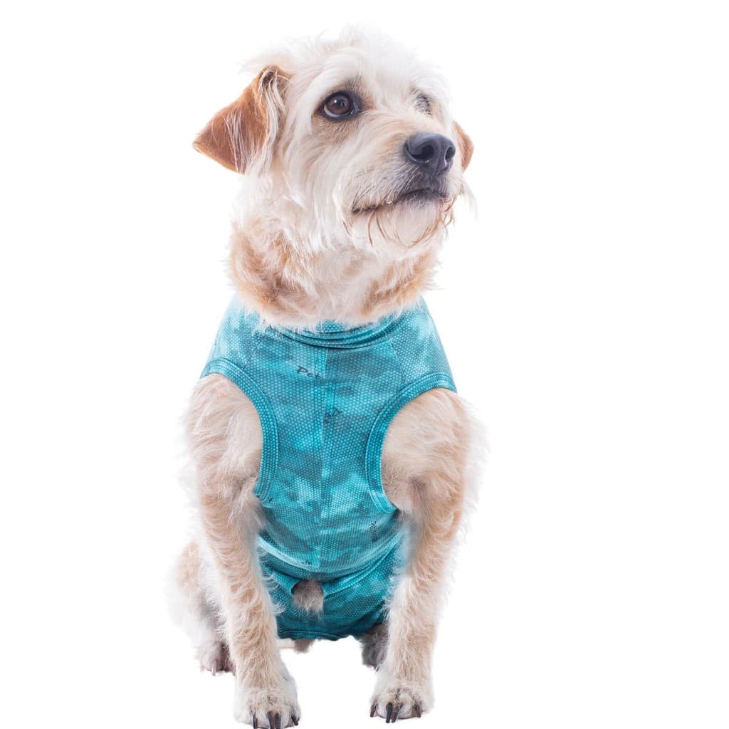Roupa Protetora Pós Cirúrgica Regular Pet Med - Tam 10