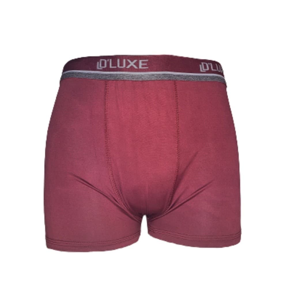 Kit 10 Cuecas Boxer Masculina algodão Premium Oferta, Conforto e ajustado para dias longos