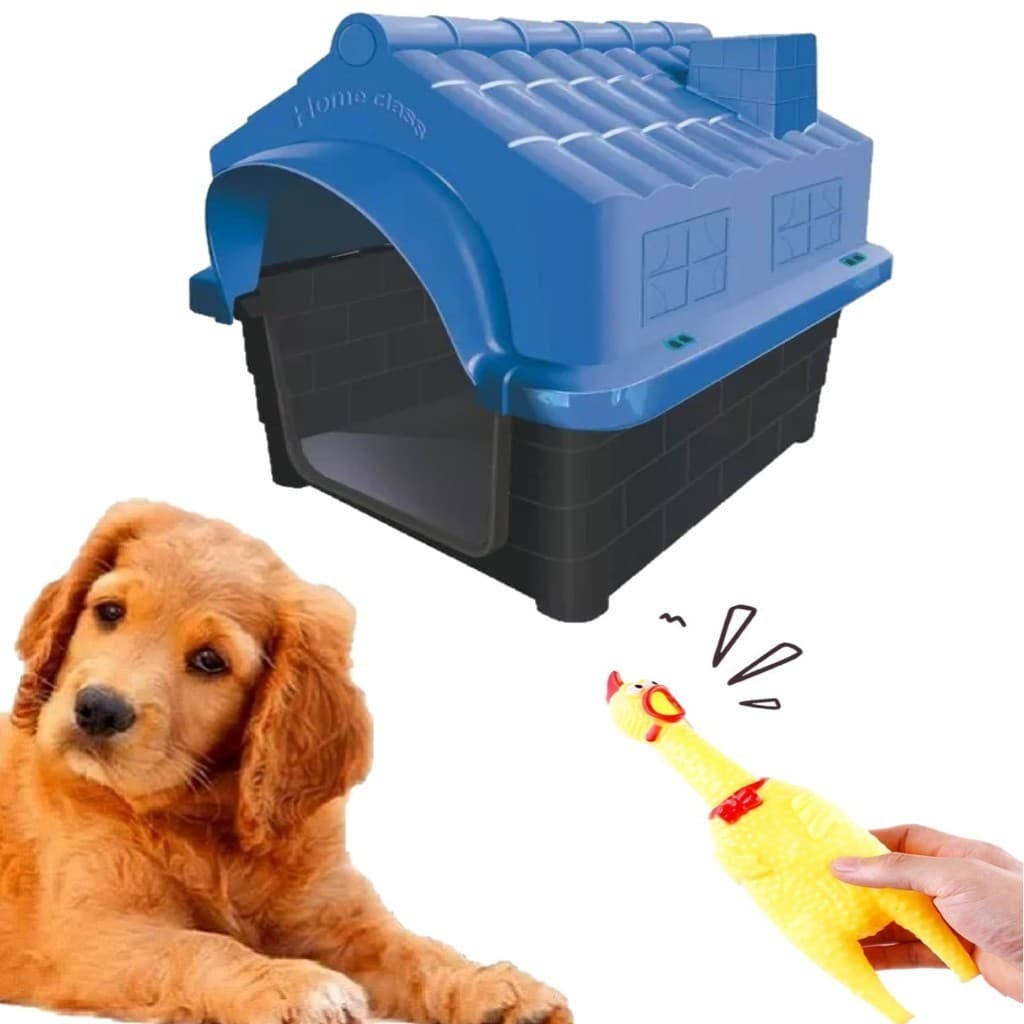 Mordedor Galinha Pet Interativo + Casinha Azul Pet N4 Dog