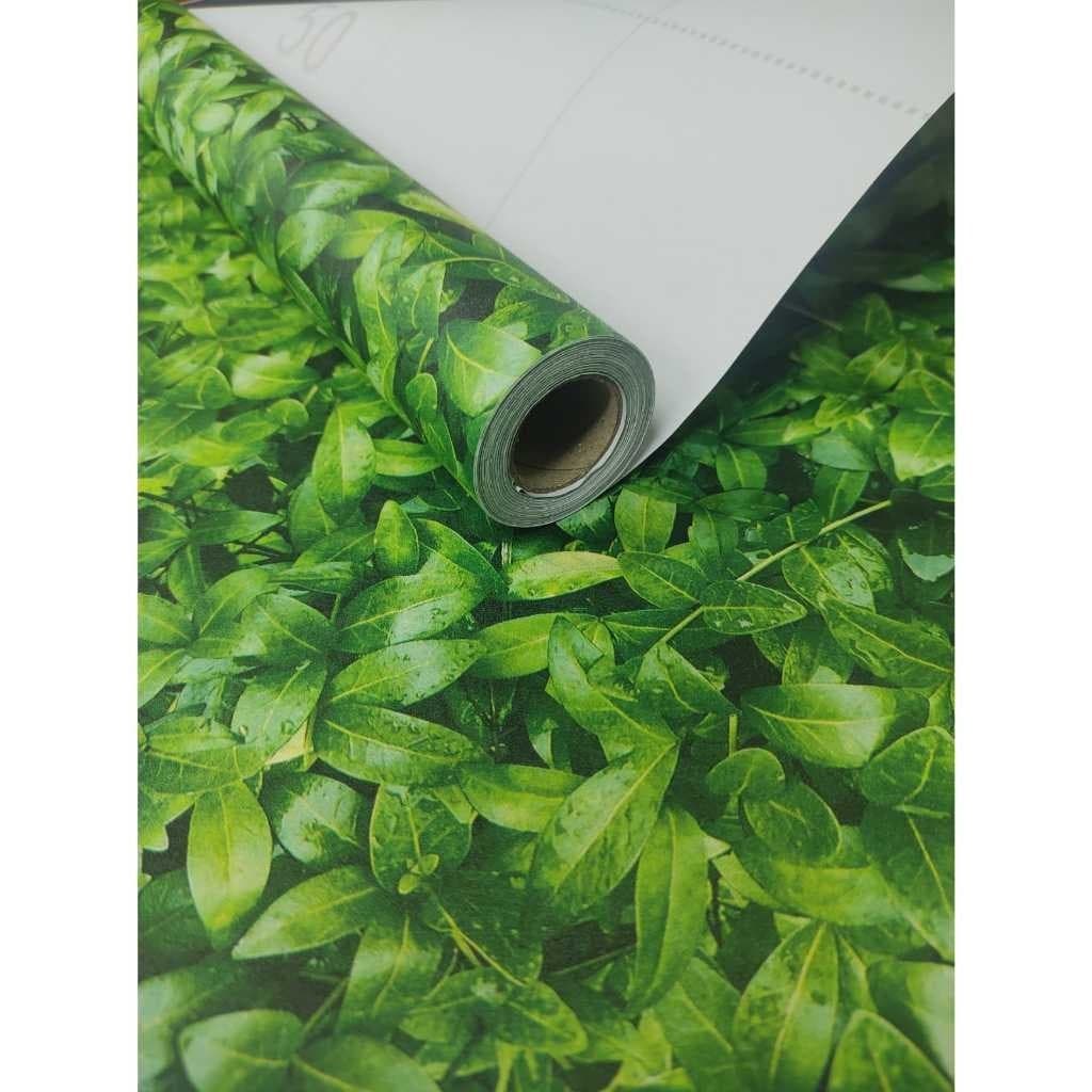 Papel de Parede 3D Hera Folha Verde 5 METROS x 45CM Adesivo Autocolante para Sala, Quarto