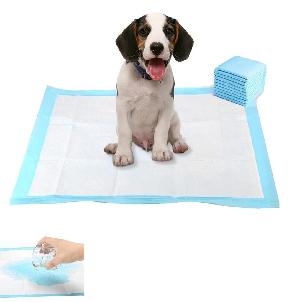 Tapete Higienico Cao Cachorro Pet 60x90 20 Unidades Treinamento Adestramento Absorvente Antivazamento