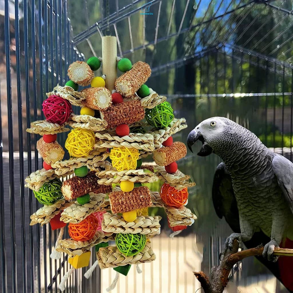 Pássaro Papagaio Forrageamento Triturador Brinquedos Milho & Videira Bolas Design Gaiola De Para Acessórios