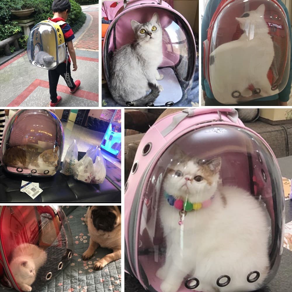 Mochila Pet Visão Panorâmica Astronauta Cachorro Gato Cão