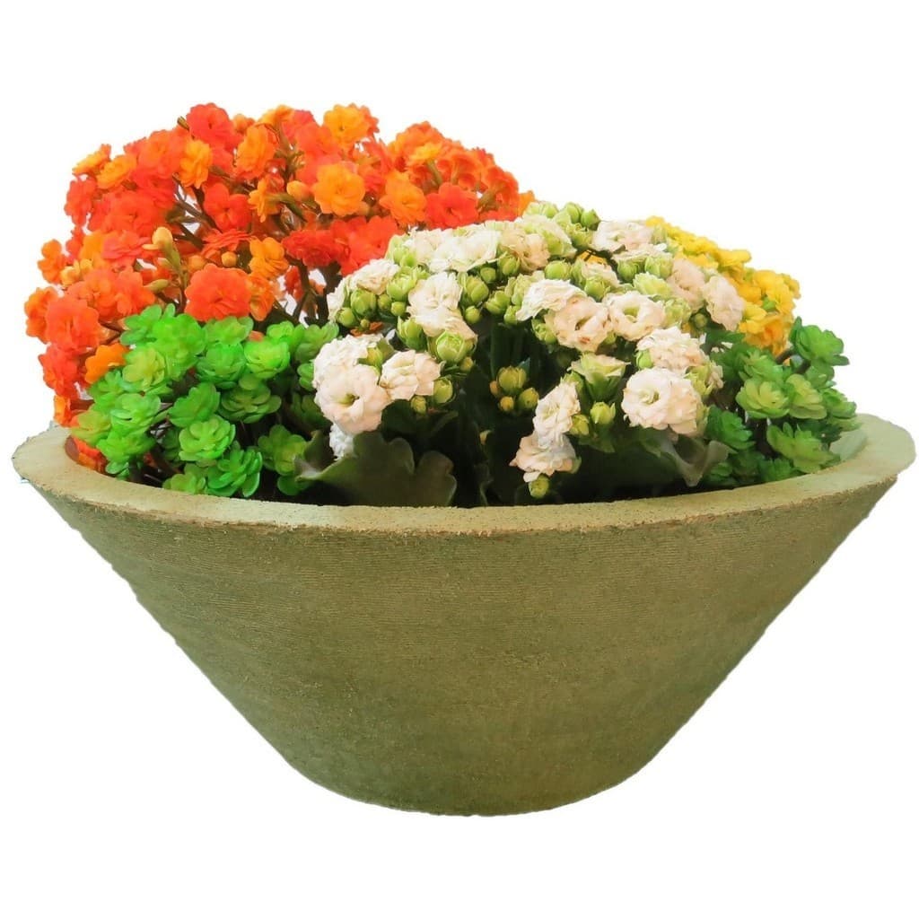 Vaso Planta 40x15 Bacia de Mesa Polietileno