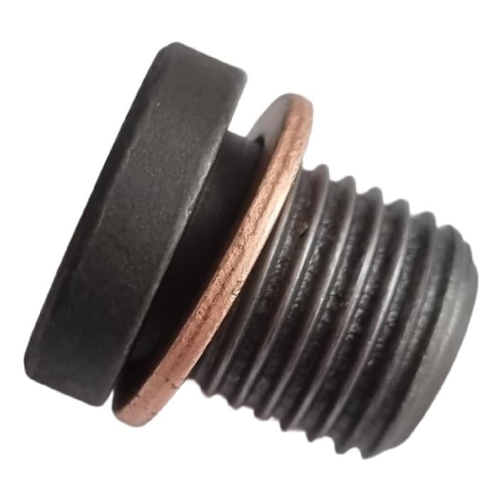Bujão Carter Motor Ap Gol Parati Saveiro G1 G2 G3 G4 Orig Vw