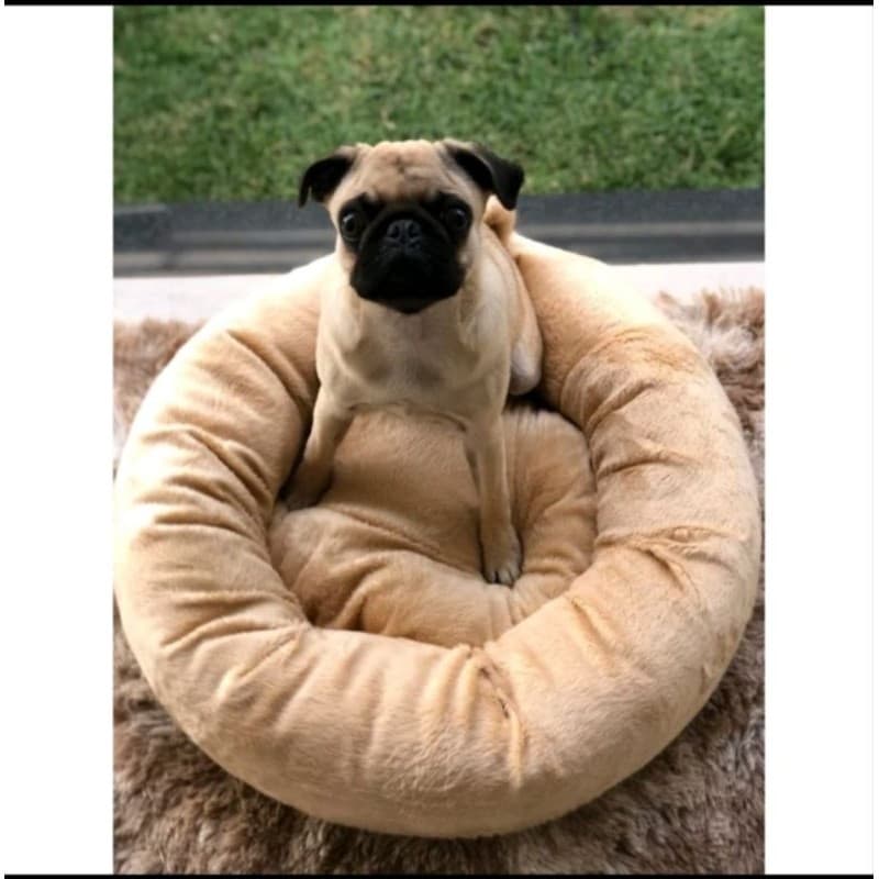 Cama Pet redonda Tamanho G Cachorro/Gato Macia Pronta Entrega/ENVIO IMEDIATO/PROMOÇÃO/ CAMA G/ PET/CACHORRO/CÃO/GATO