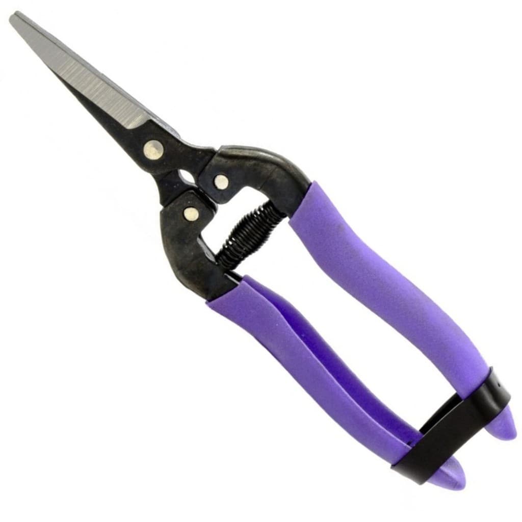 Tesoura Colheita Poda Ponta Reta Cabo Emborrachado Mola 18cm PALISAD