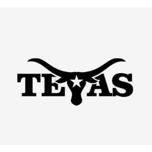 adesivo texas para carro moto e caminhão personalizado ALTA QUALIDADE