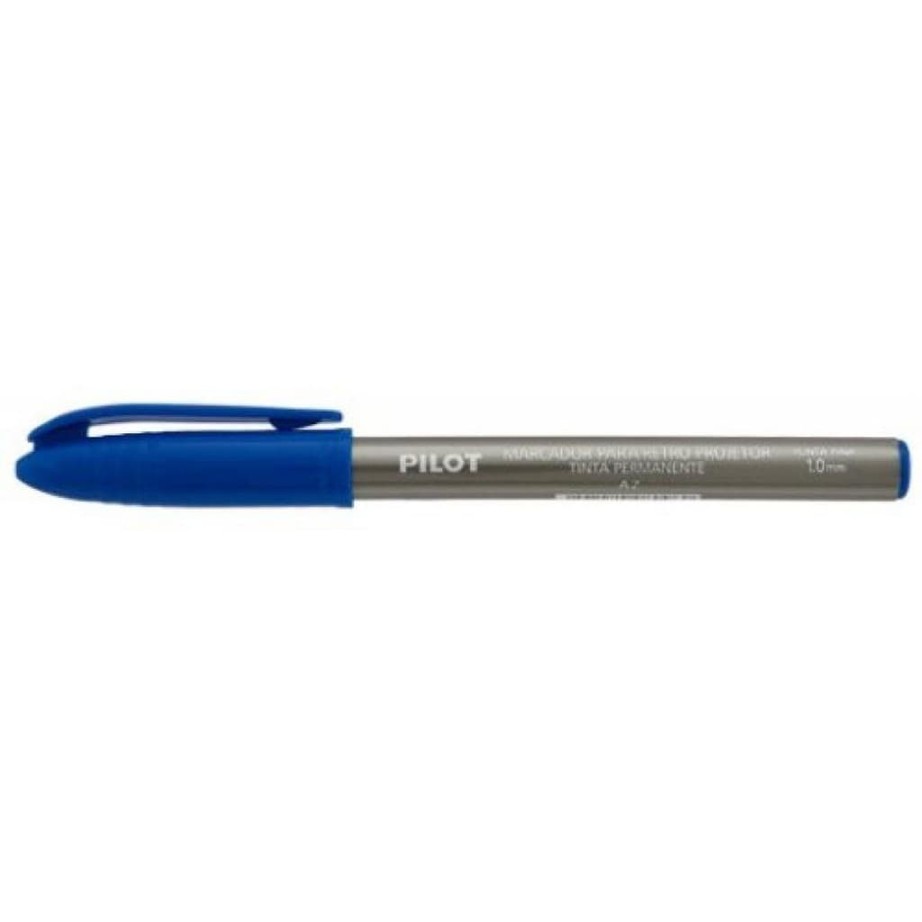 Pincel Marcador Retroprojetor Pilot Tinta Permanente 1.0 Mm Ponta Fina