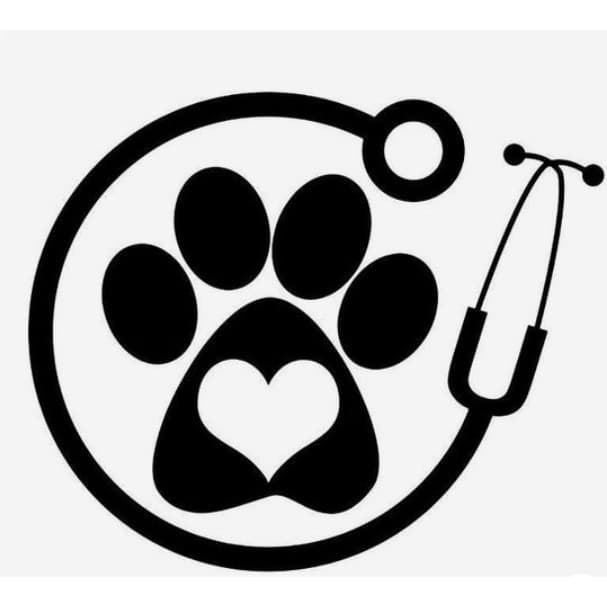 adesivo medicina veterinária para carro moto e caminhão