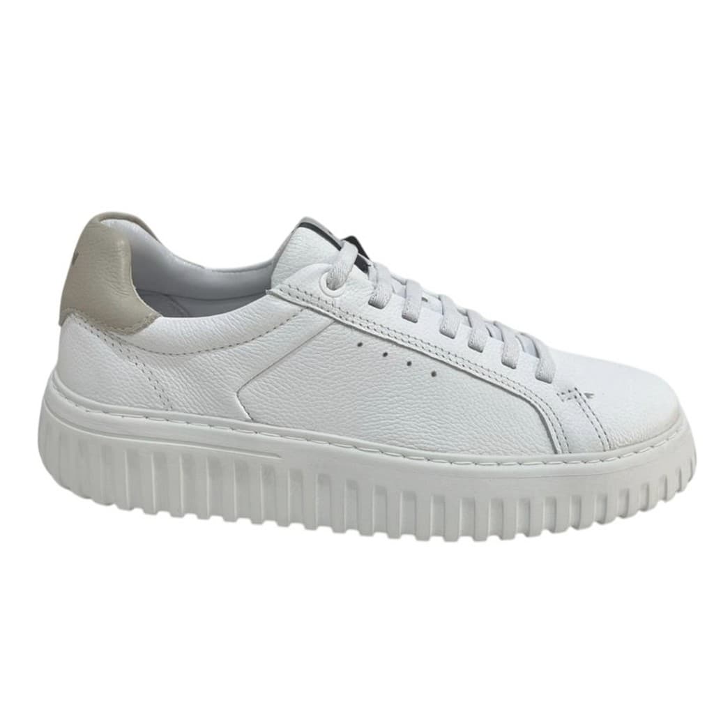 SAPATÊNIS MASCULINO FERRACINI STILL REF 8103-683