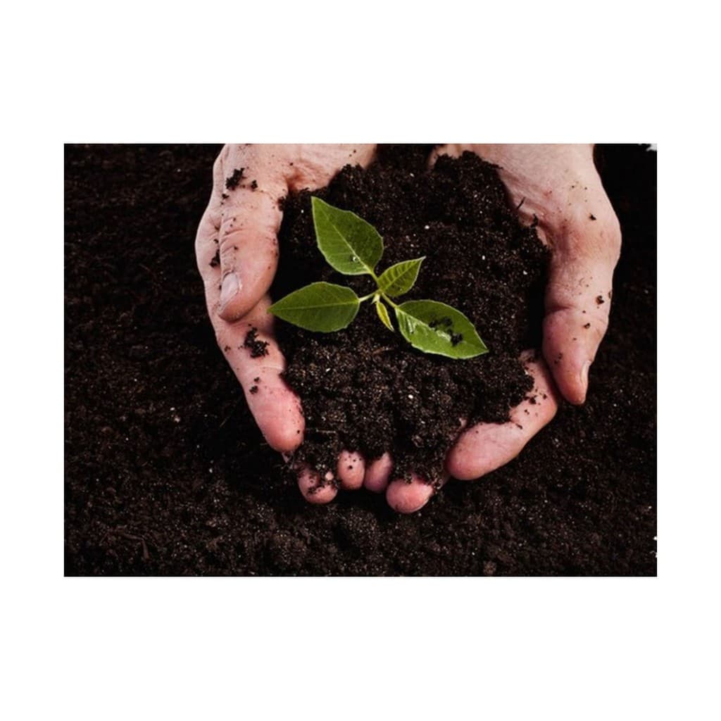 Terra Adubada - Pronto para Plantar