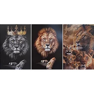 Quadro Decorativo Grande Moldura Preta 62x92cm Unidade
