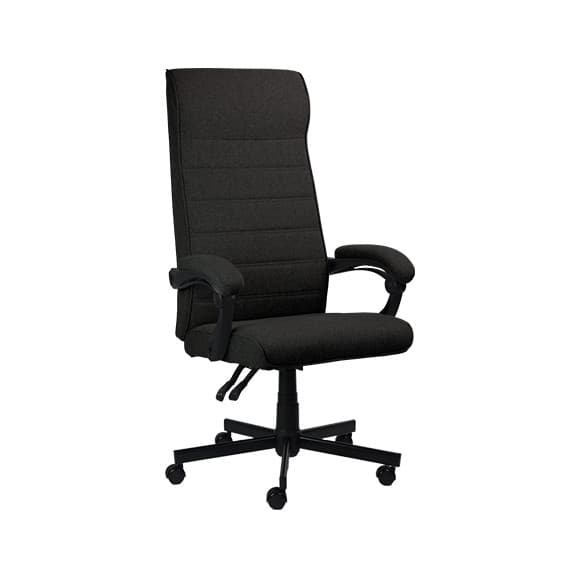 Cadeira Escritório Ergonômica Magnus Conforto Pcyes