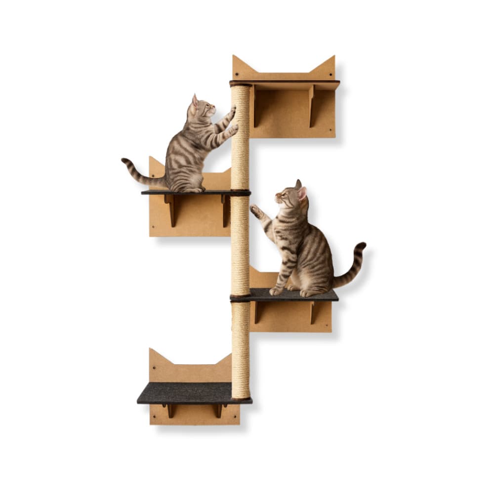 Conjunto Escalador Gato Parede Prateleiras Poleiro Escada Playground Gatos Brinquedo com Arranhador