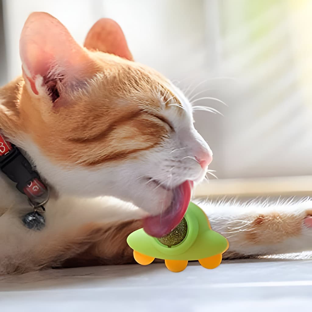 Bola De Catnip Erva de Gato Formato de Nave Espacial Gatinho Relaxa Antistress Alivia Tédio