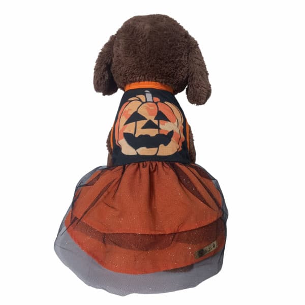 Roupa pet Vestido Halloween Abobora macabro dia das bruxas babados fantasia engraçada