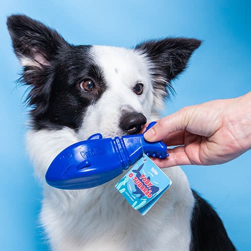 Mordedor de Nylon Toby, o Tubarão Para Cachorro - Tam. P. | mordedor para cachorro resistente - Petiko