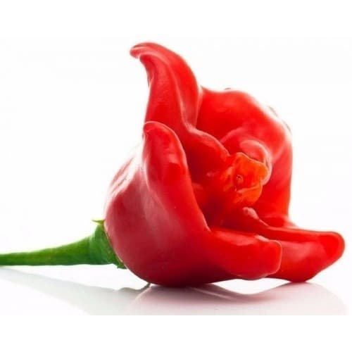 150 Sementes Pimenta Doce Sem Sementes II | Hortaliça para Plantio | Alta Germinação | Jardim e Horta