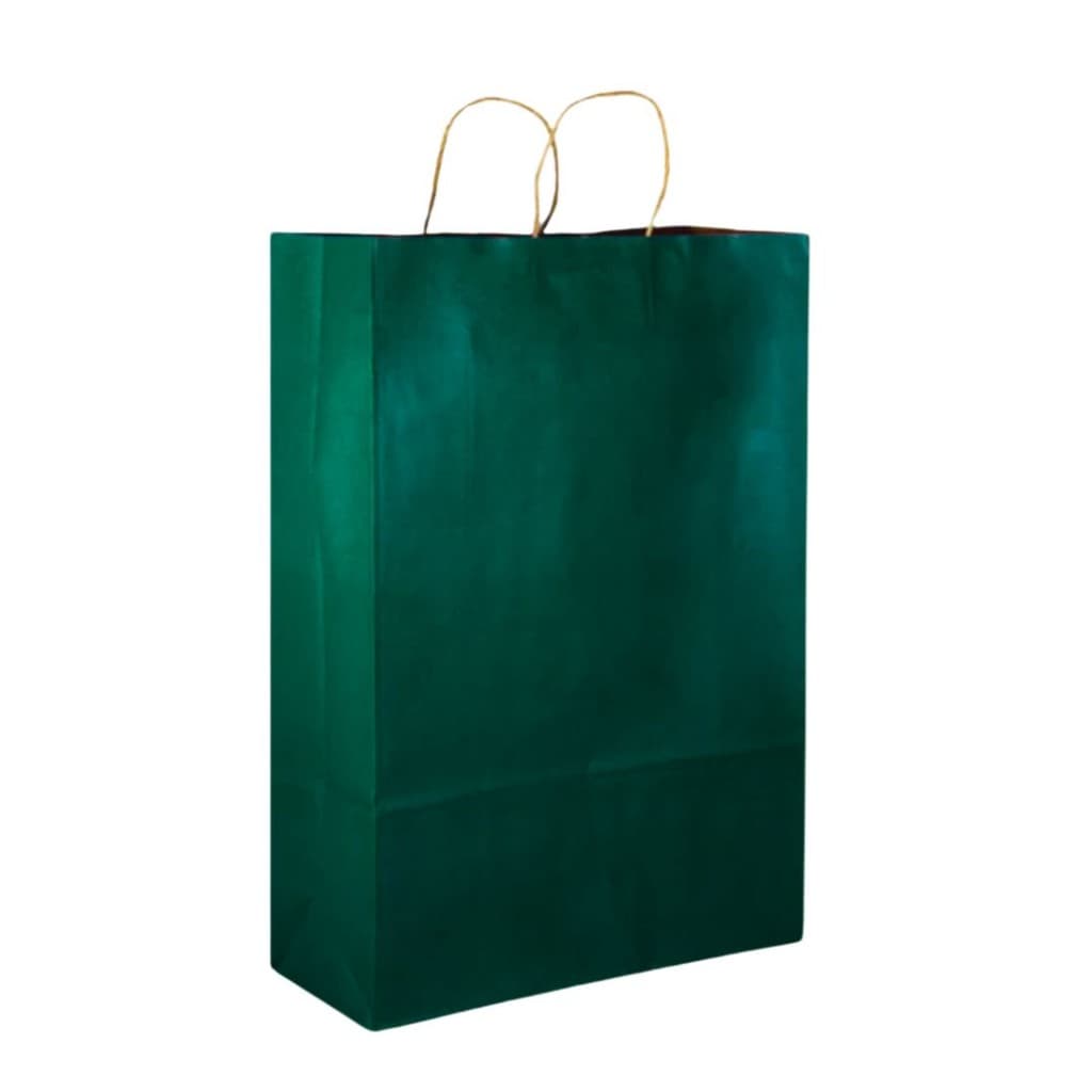 Sacola de Papel Kraft Pardo Verde Bolsa Tamanho M 10 UNIDADES