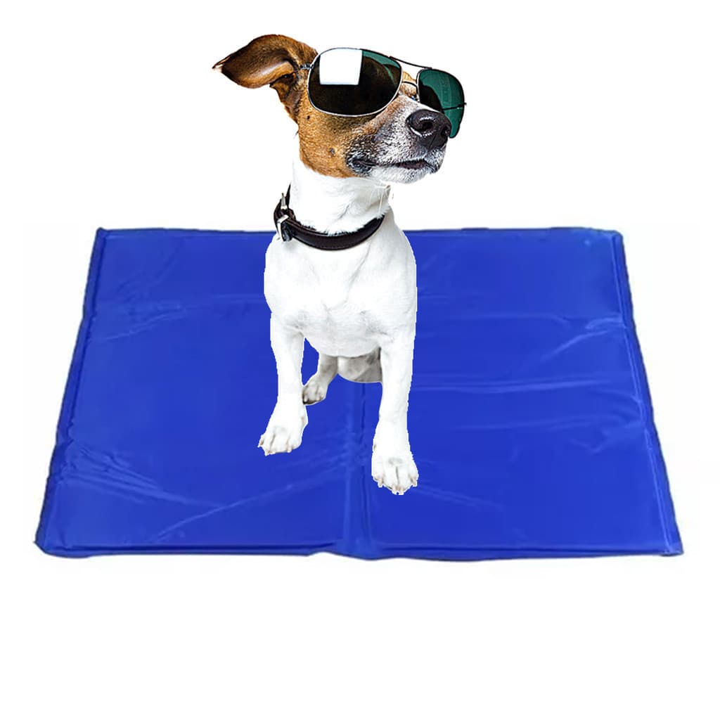 Tapete Gelado Fresquinho Cao Cachorro Gato Pet 40X50 Colchonete Confortavel Verao Calor Dia Quente