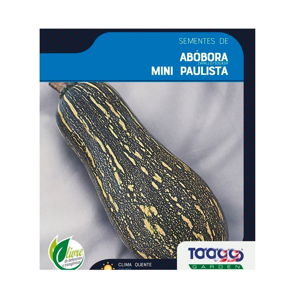 150 Sementes Abobora Mini Paulista