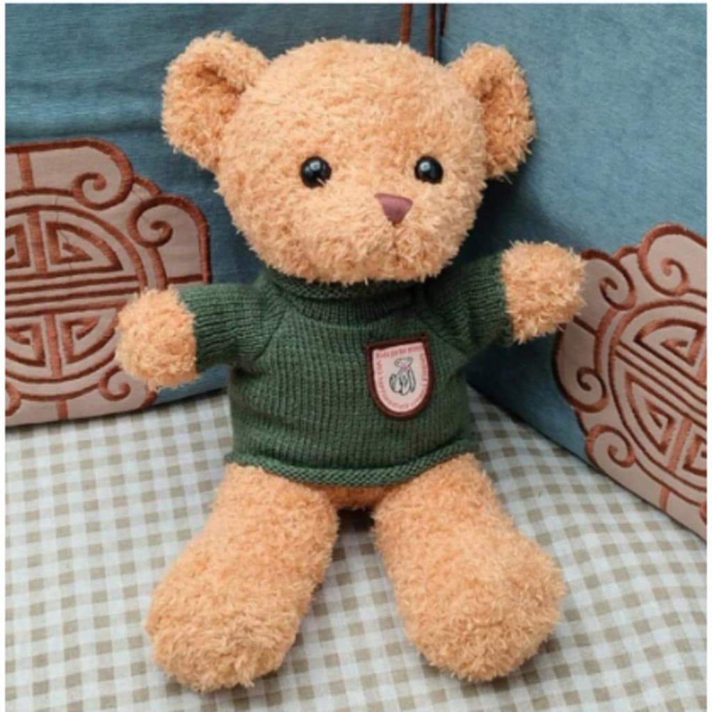 Urso de pelúcia Teddy de 10 polegadas com roupa removível, Bonito Presente de Graduação,