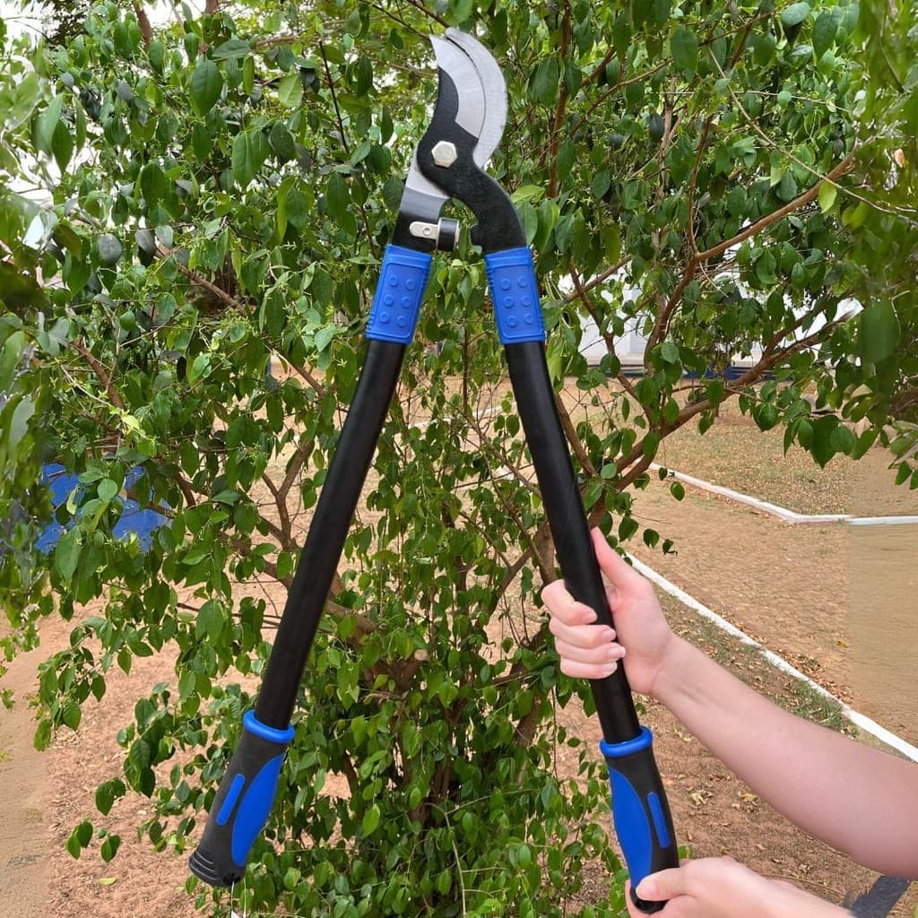 Tesoura Poda Profissional Galhos Grossos Alpe & Aritana