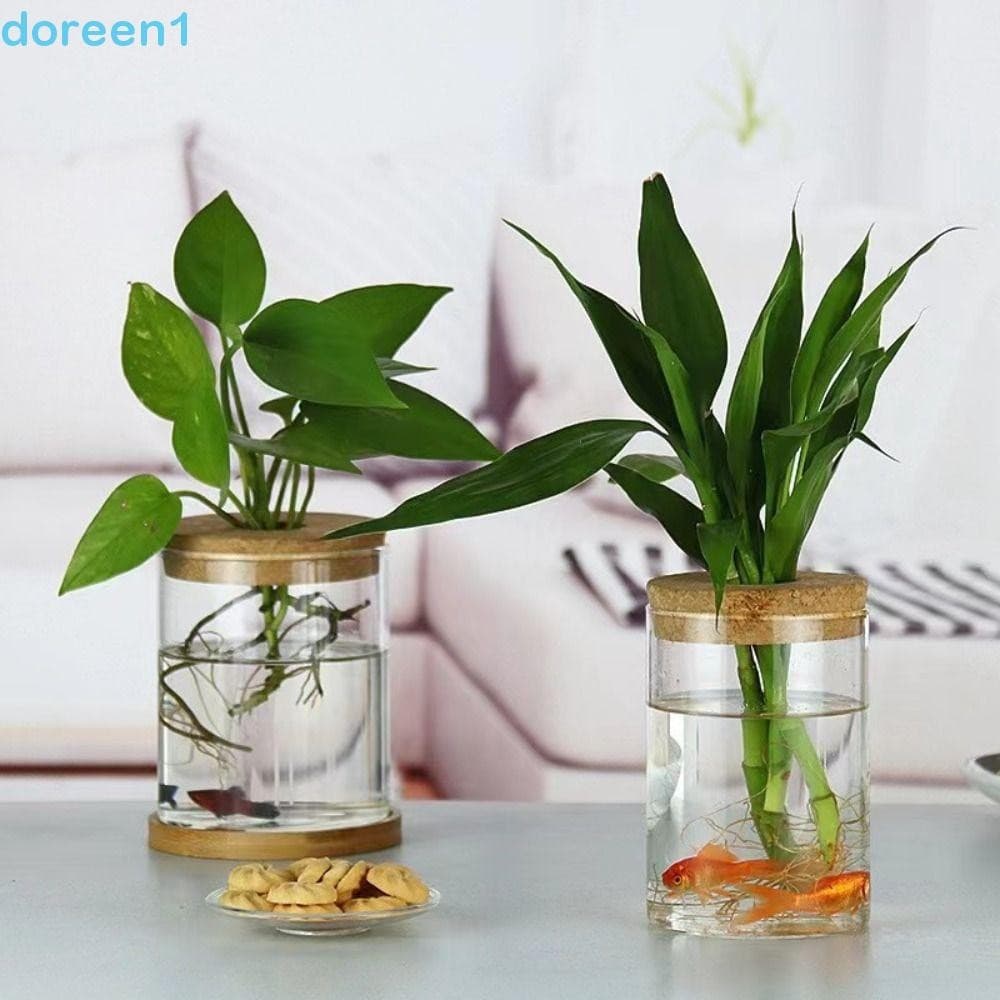 Vaso De Flores Para Plantas Hidropônicas DOREEN , Vasos De Vidro Transparentes Espessos , Ecológico Transparente