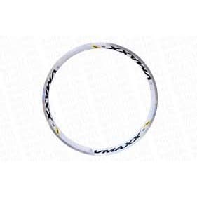 ARO 26X36F DH LT VMAXX V-BRAKE BRANCO