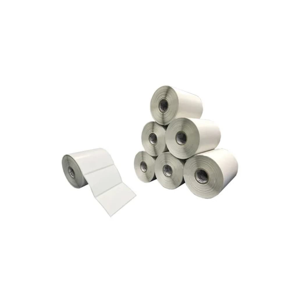 10 Rolos Etiqueta Bopp 100x60 Mm