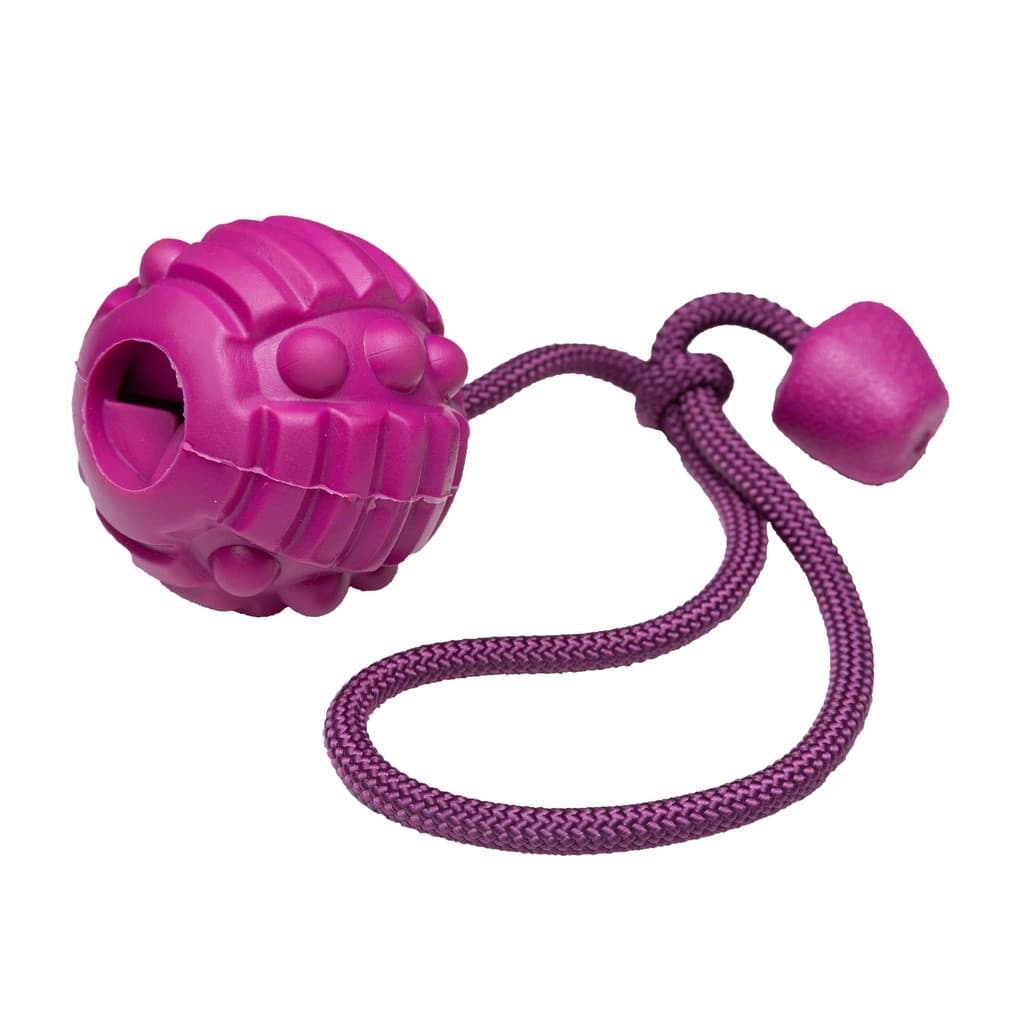Brinquedo Porta Petisco com Corda e Apito para Cães Roxo