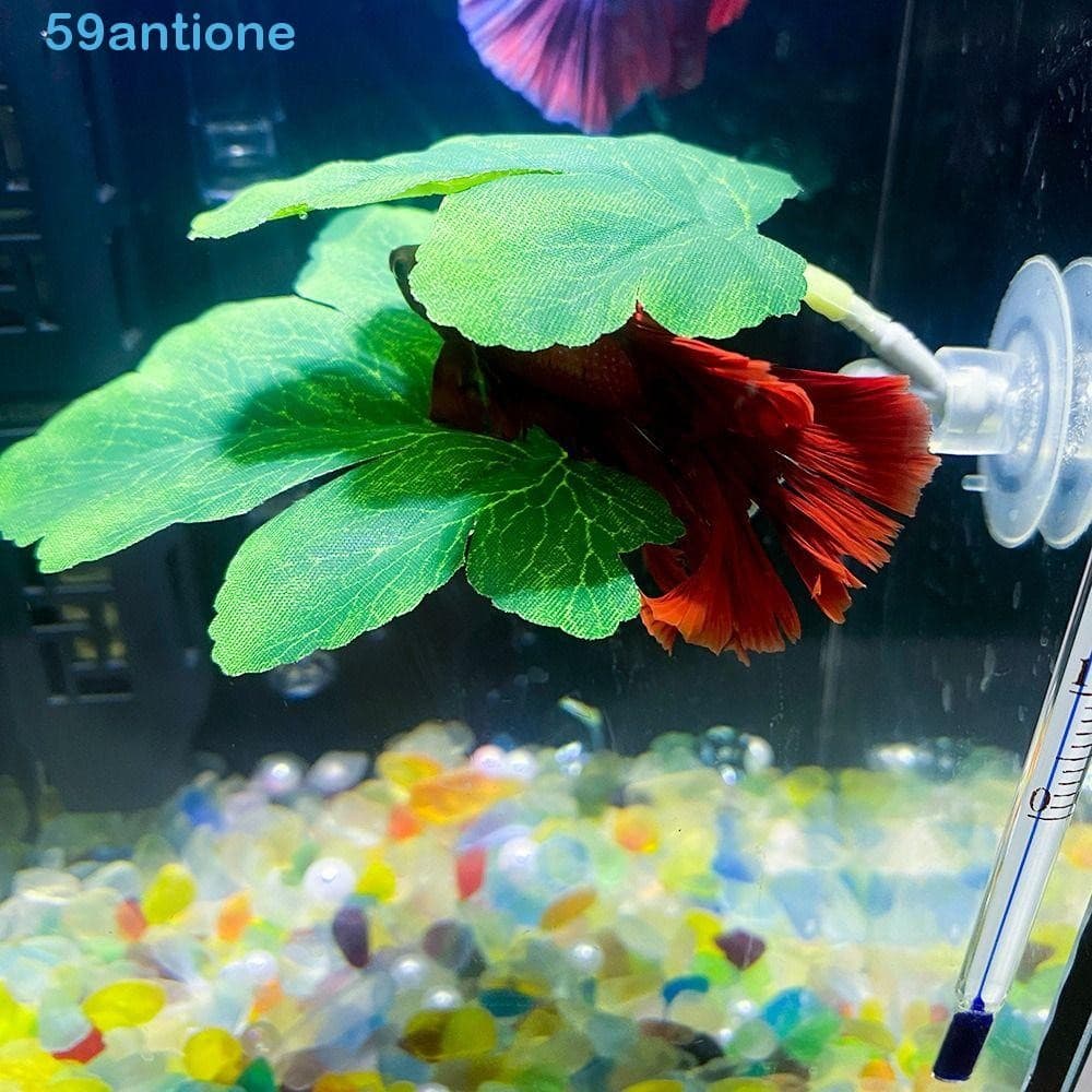 Paisagismo De Aquário ANTIONE , Com Ventosas Folha Criativa De Descanso De Peixe Betta , Plantas Artificiais Simuladas