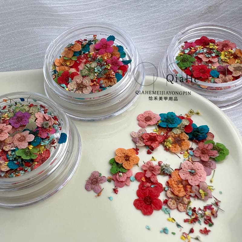 Flores secas japonesas acessórios de Manicure pequena margarida flor de cinco pétalas em relevo flor Real cor misturada