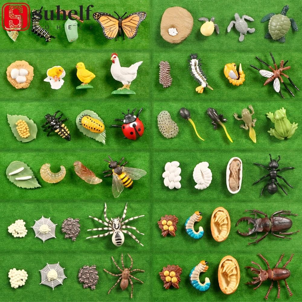 SUHELF Simulação Crianças Brinquedo Ciclo De Vida Estatueta De Borboleta