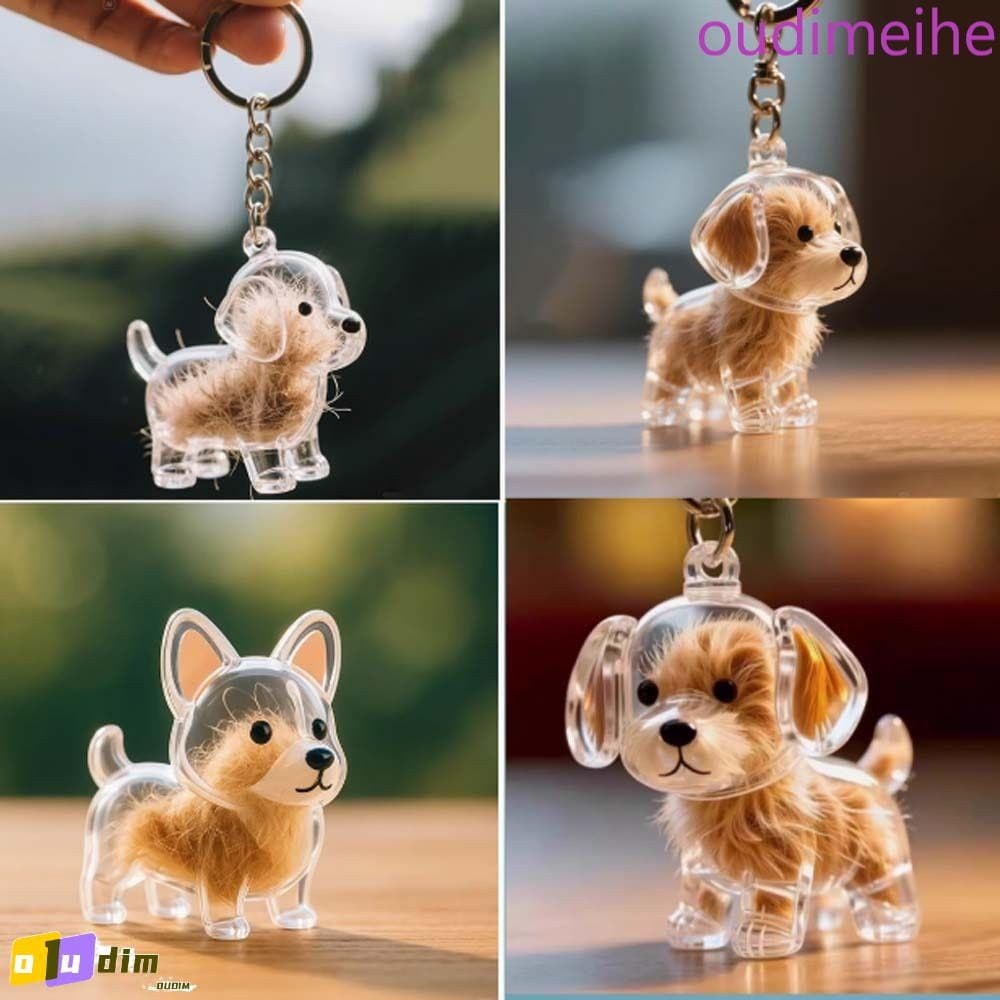 OUDIMEIHE Caixa De Armazenamento De Pêlos De Cachorro , Chaveiro Transparente Em Formato Para Animais De Estimação Cuida