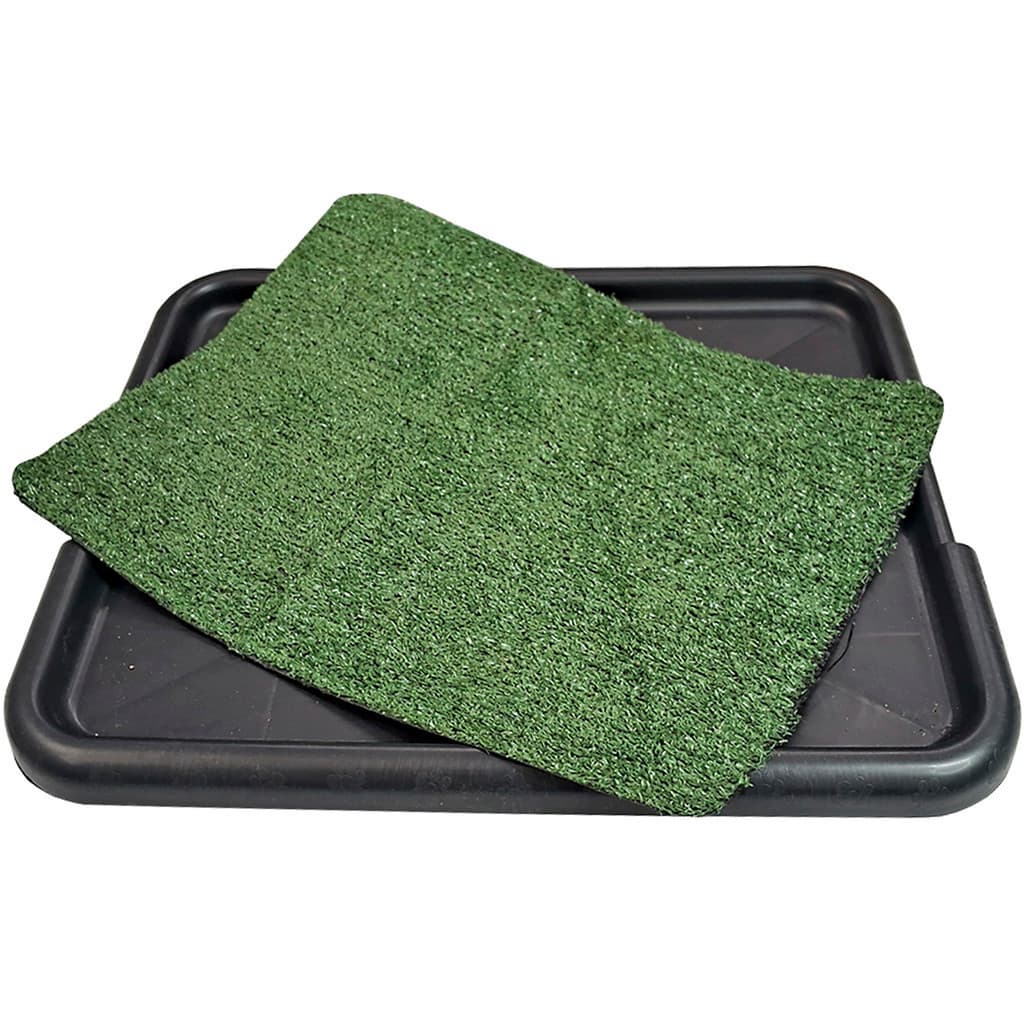 Sanitário Tapete SaniGreen SaniGatto Educador Xixi Pipi Graminha Lavável Plástico Mec Toys Mec Pet
