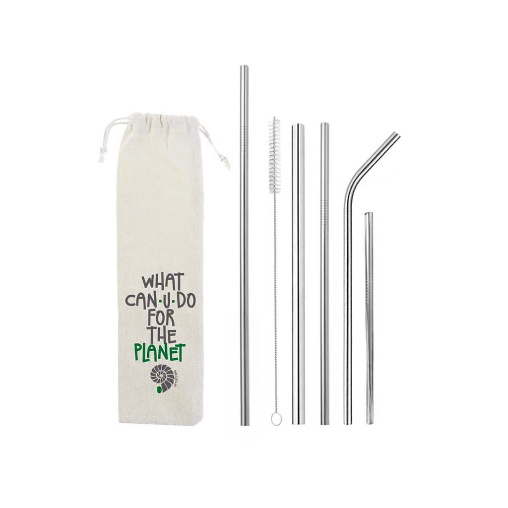 Kit Canudos de Inox - 4 peças + escova de limpeza + ecovag + Canudo Longo Reto 25cm
