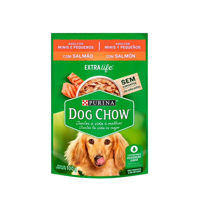DOG CHOW SACHÊ ADULTOS MINI E PEQUENO SALMÃO 100G